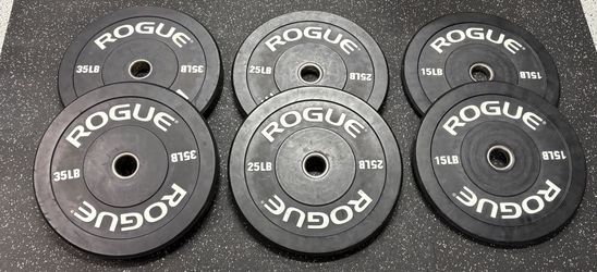 Rogue Echo bumper plates