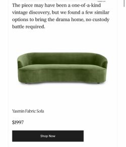 Velvet couch