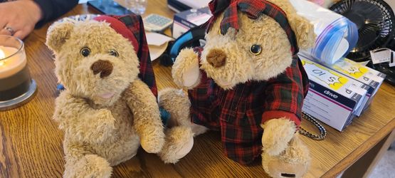 Christmas Bears 