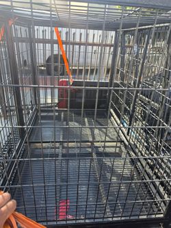 Dog Cages