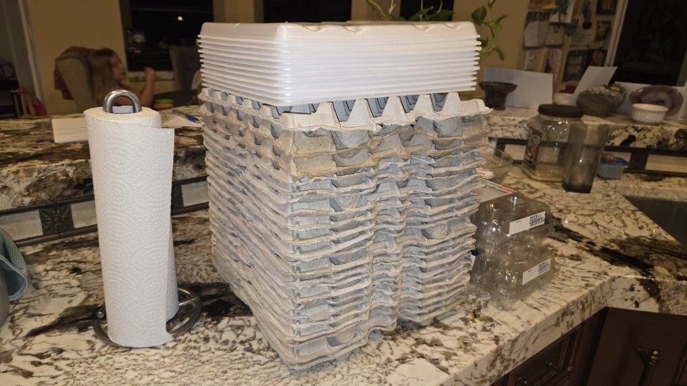 Egg Crates