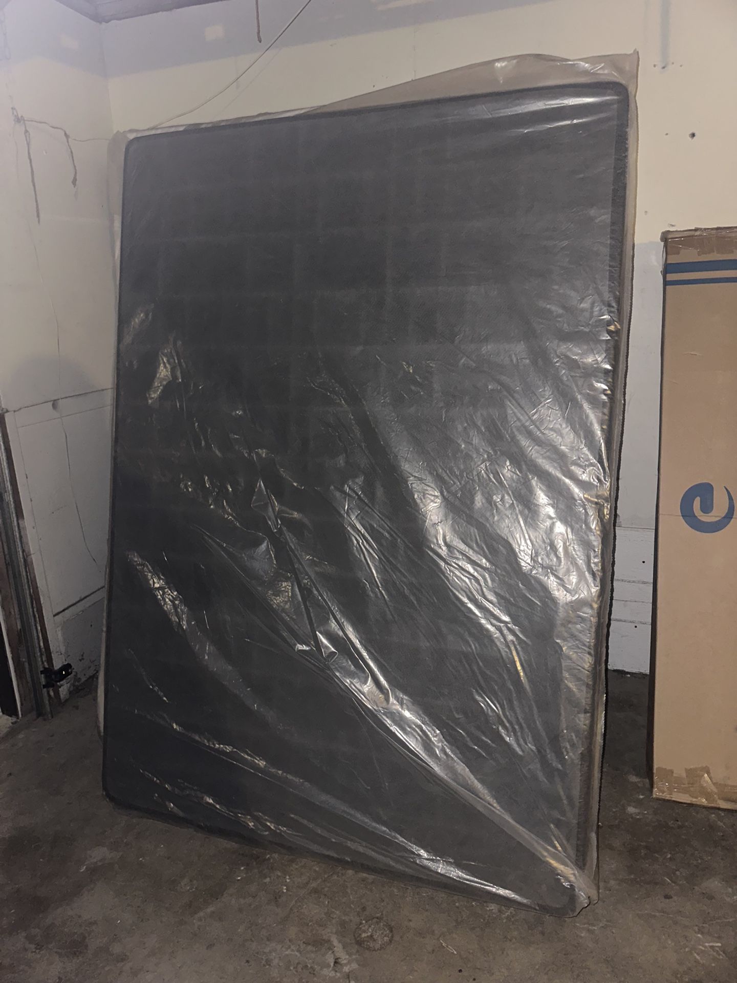 ffull boxx spring new