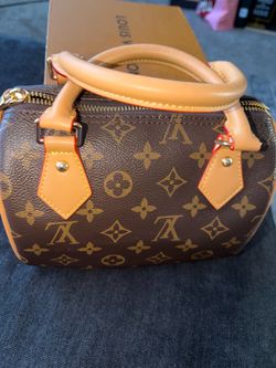 Louis Vuitton Micro Bag