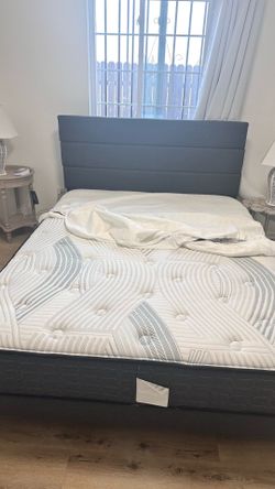 Medium size bed