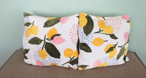Throws pillows from Kohl's