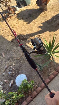 Daiwa spinning rod