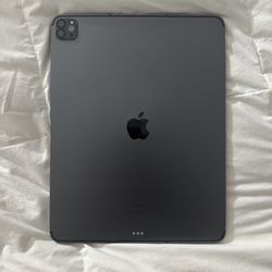 iPad Pro (5th Gen) 12.9in 256gb Cellular 
