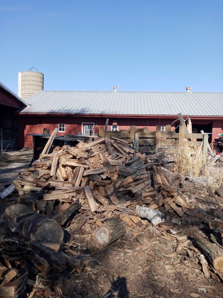Firewood