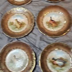 6 Piece Vintage Duck Porcelain Plates
