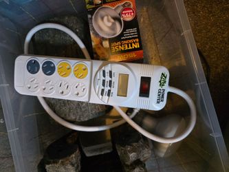 Dubia, L and XL NEEDED! Reptile Supplies FOR TRADE!