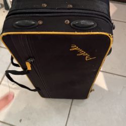 Prelude Saxophone (Alto) Carrying Case (like new)