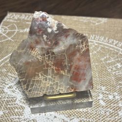 Petrified  Wood Slab  