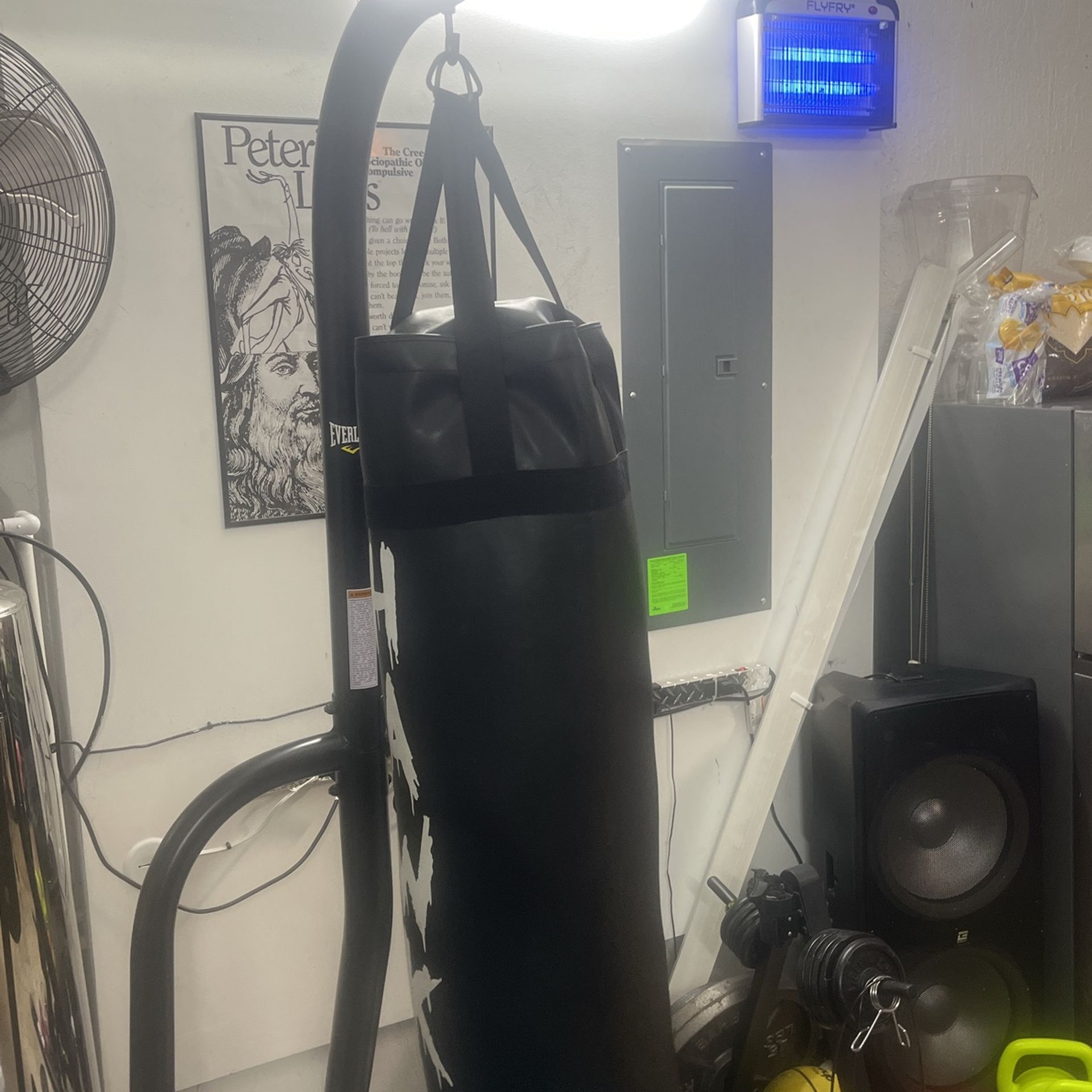 Punching Bag And Mount
