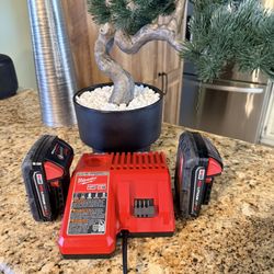 Milwaukee 3-Piece Set: Charger and 2 