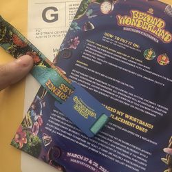 Beyond wonerland wrist band