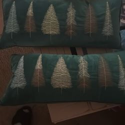 Decor Pillows