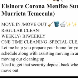 Professional Cleaning 