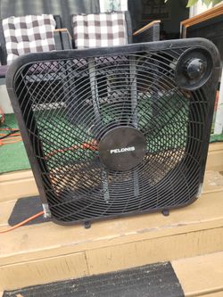 Fan
