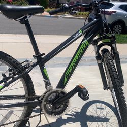 Schwinn scour cheap