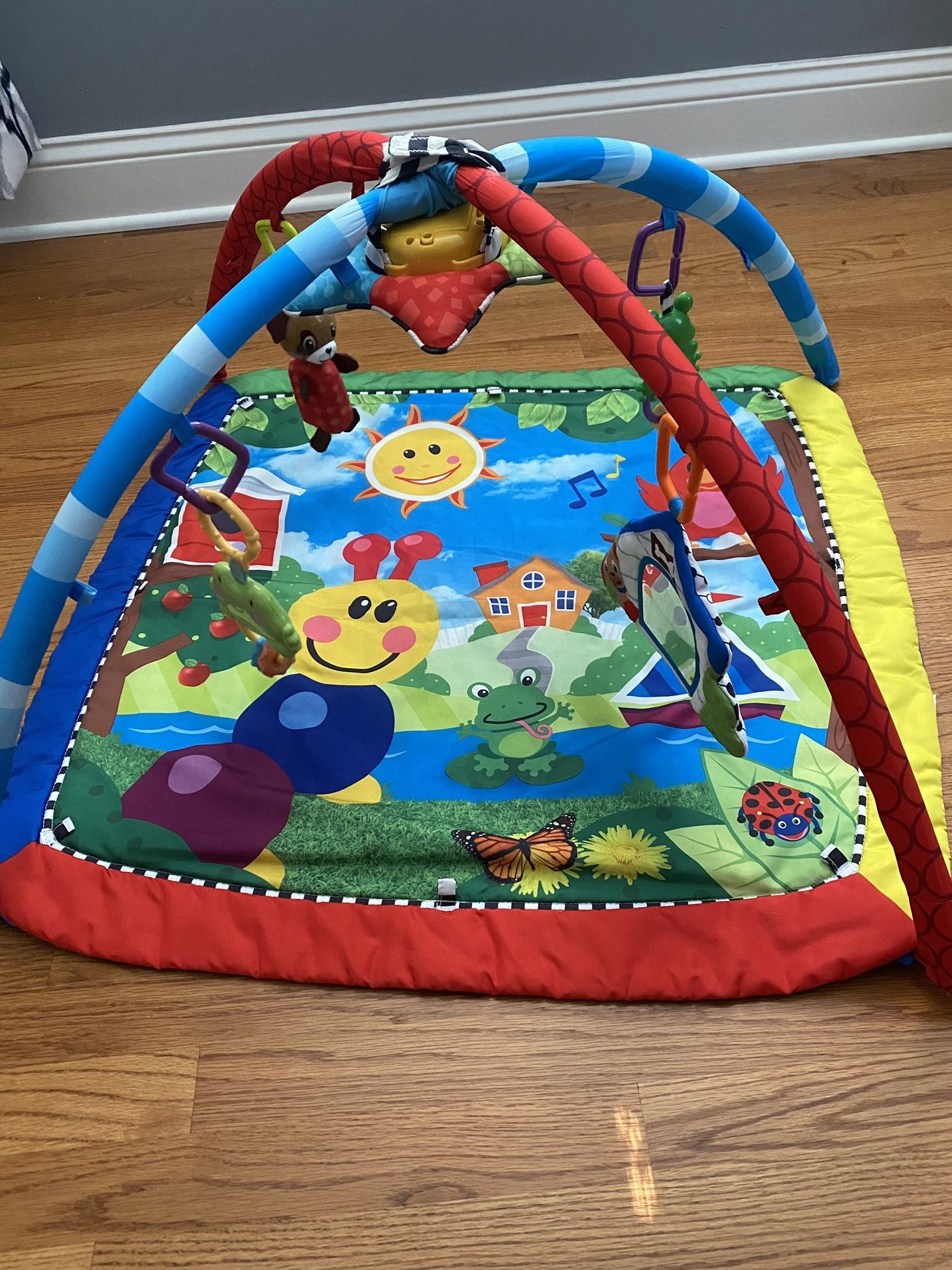 Baby Einstein Play Mat with Light and Sound