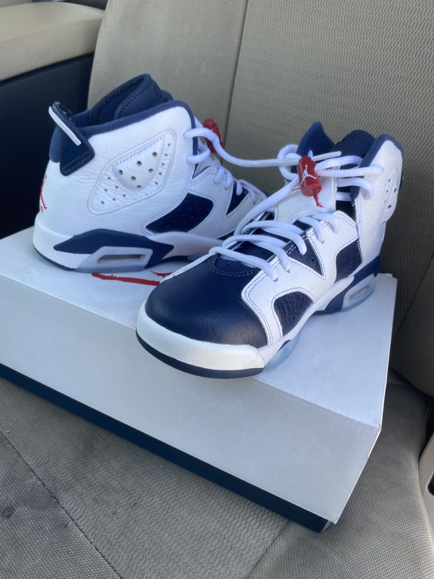 Retro Jordan 6’s