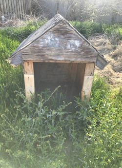 Dog house