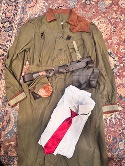 Miss Trunchbull Costume