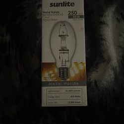Grow Light Bulb