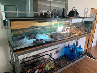 8 ft Custom terrarium
