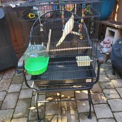 Bird Cage 