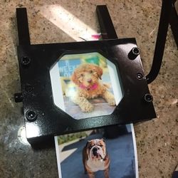 Custom 2” Photo Magnets 🧲- 3 For $10