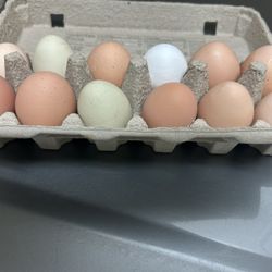 Farm Fresh Eggs 