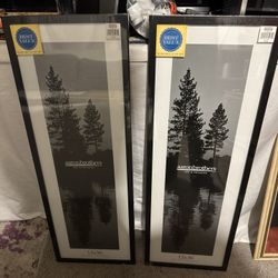 Long Picture frames 