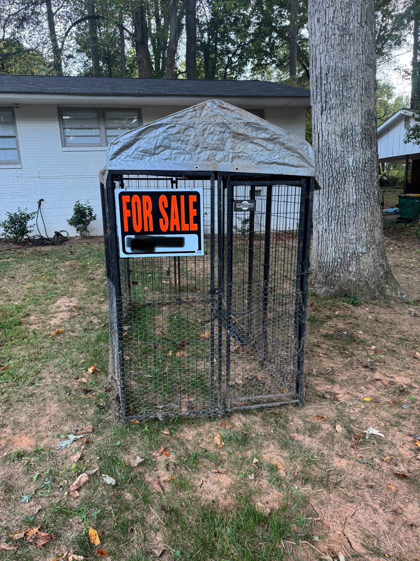 Kennel