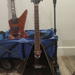 Flying V Acoustic Guitar