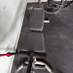 Body Champ Bench.