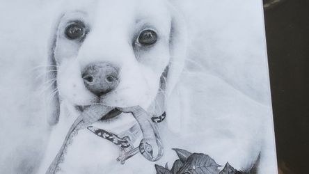 Realistic Graphite Pencil Drawings, Puppy - Beagle, Printed And Matted, Size 11x14