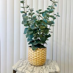 Faux Eucalyptus Plant