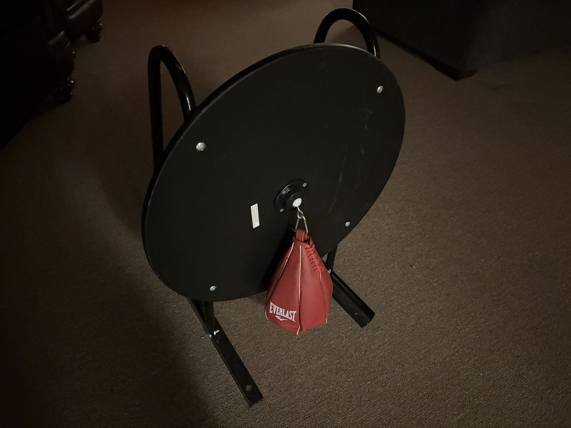 Everlast Speed Bag