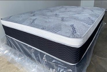 Cal King Euro Pillow Top