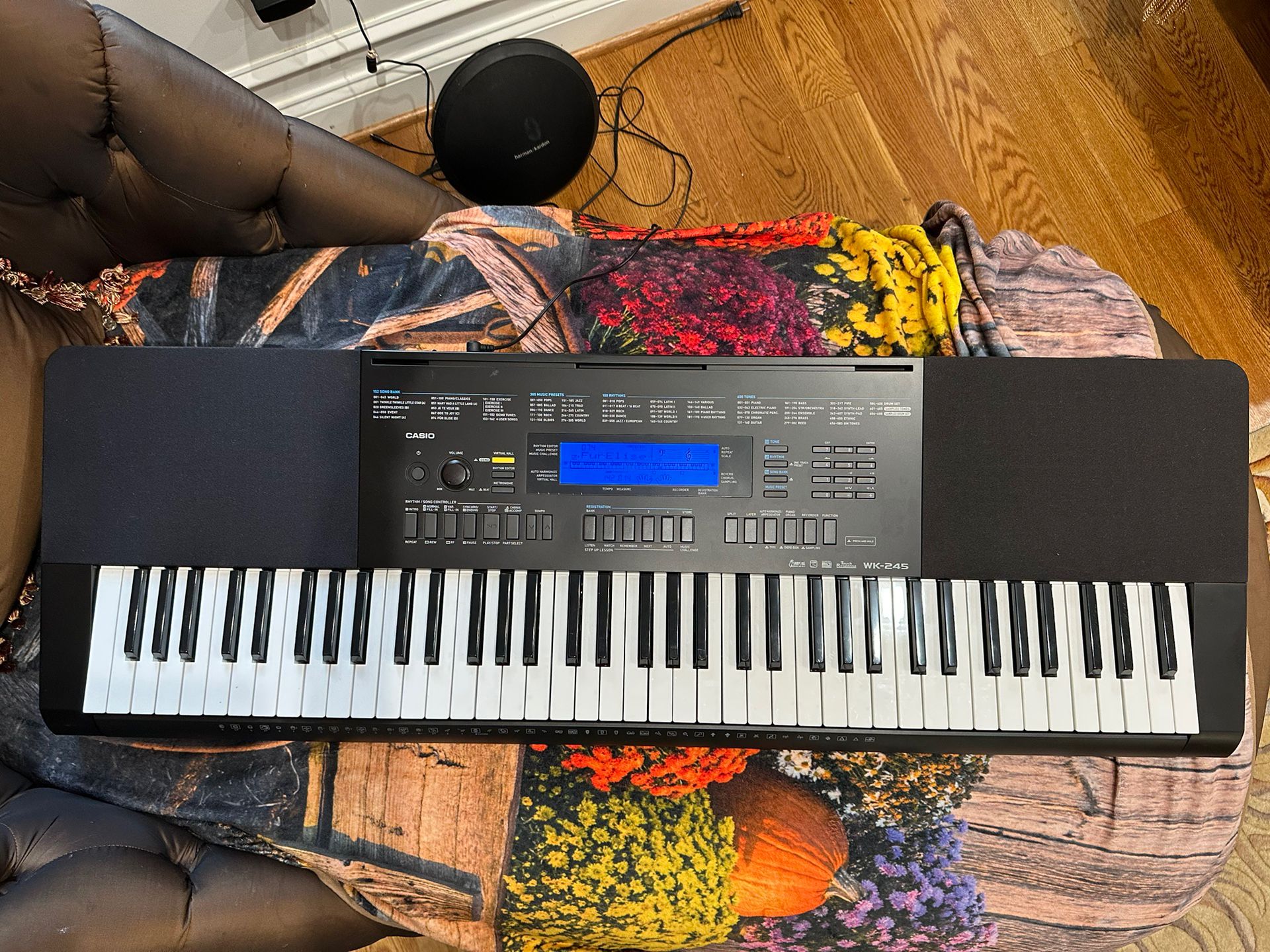 Casio Wk245 Keyboard