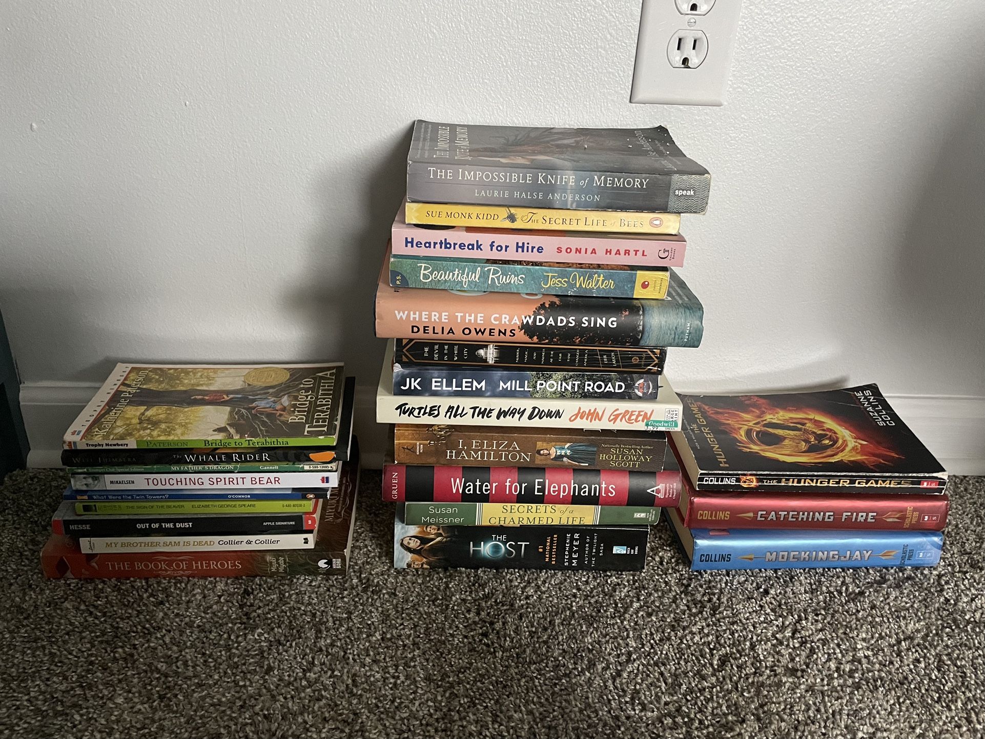 Books!! Young Adult And Adult Fiction Books