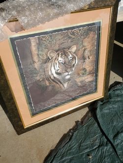 Fancy 36x36 Tiger Picture Frame