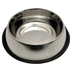Dog Bowl (READ DESCRIPTION)