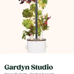 Grow your own plants and herbs indoor.