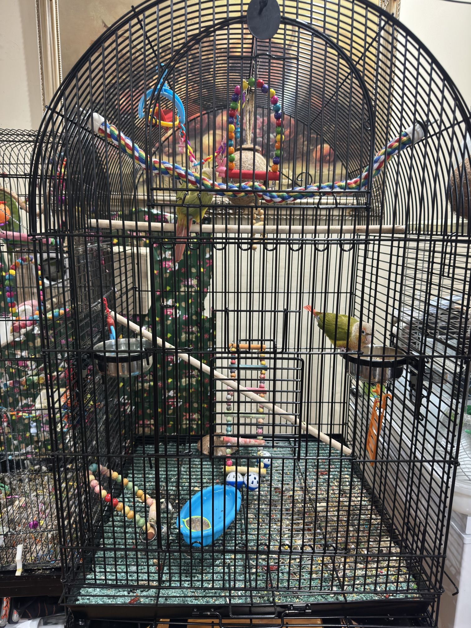 Bird Cage Large