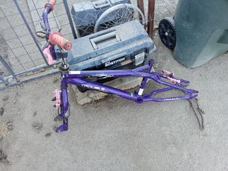 20" girls bmx