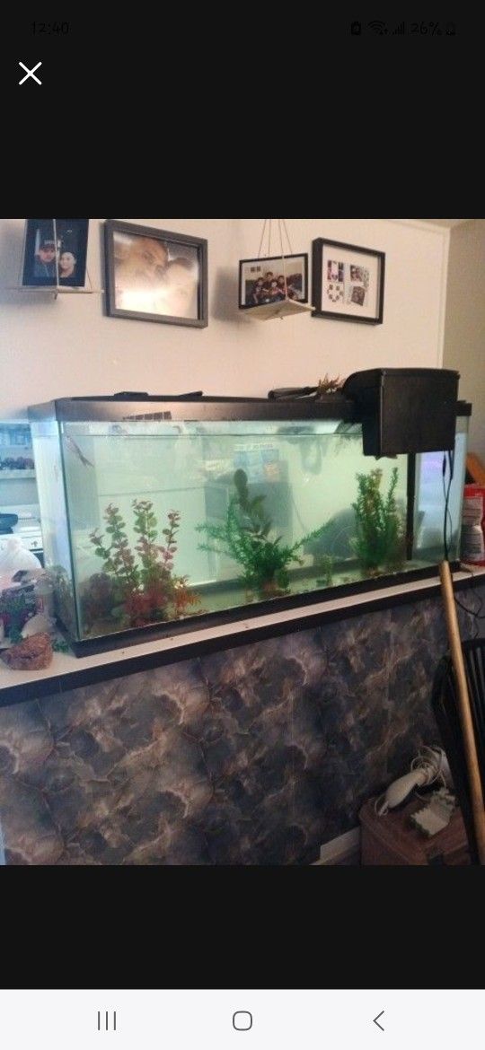 Fish Tank