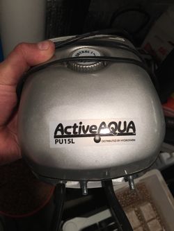 Active aqua