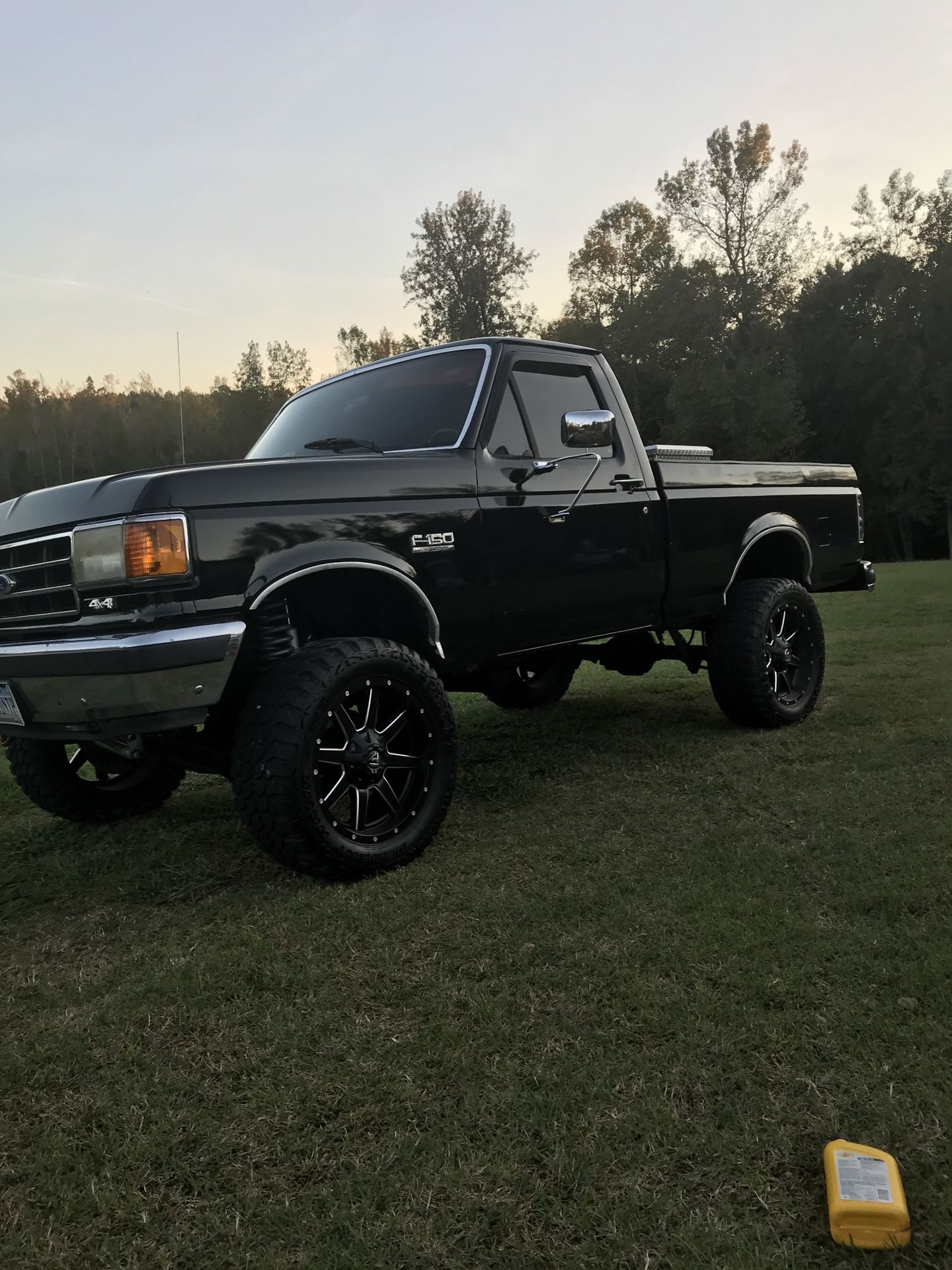 1989 Ford F-150